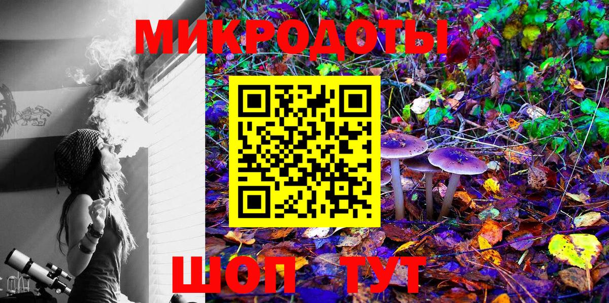 Галлюциногенные грибы Psilocybine cubensis  Псилоцибиновые грибы Psilocybe  Вход с VPN  Апатиты 