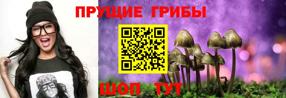 Галлюциногенные грибы мицелий Апатиты